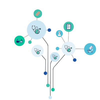 DHA digital health network